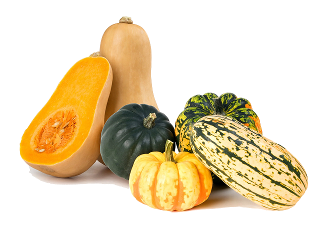Heirloom Seeds and Squashes