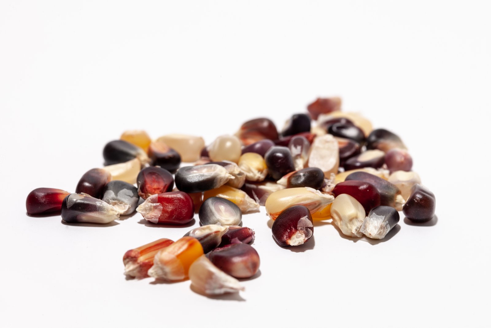 Heirloom Seeds and Squashes