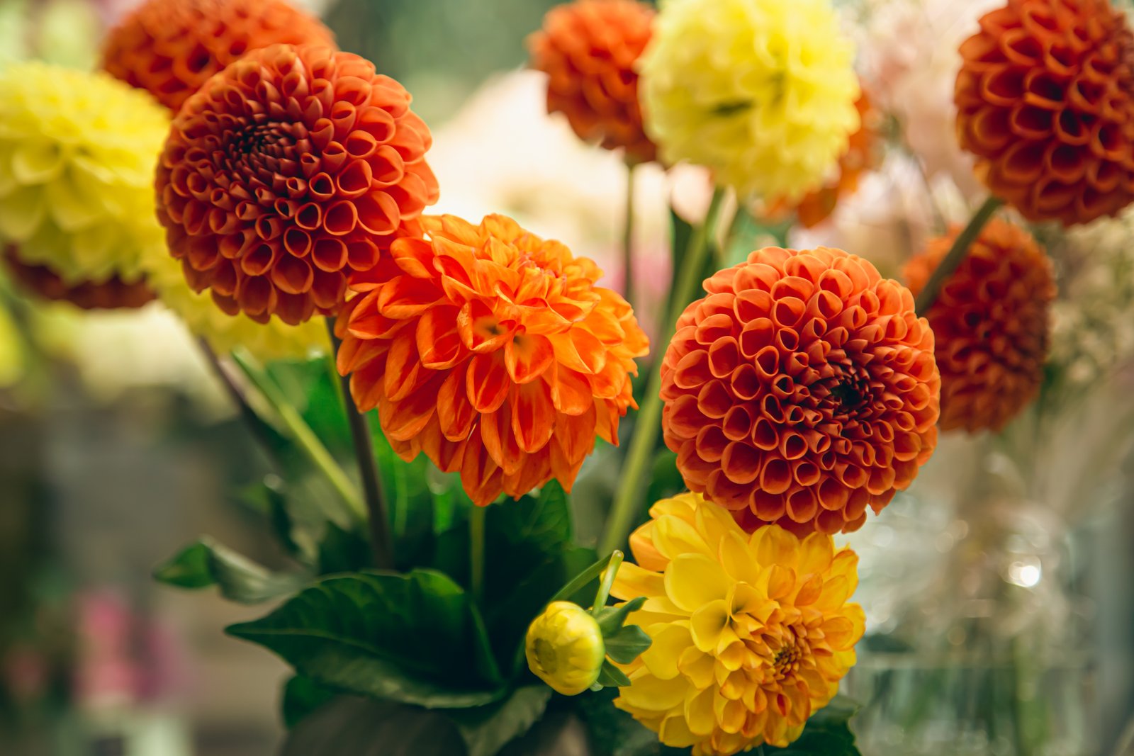 Blumen